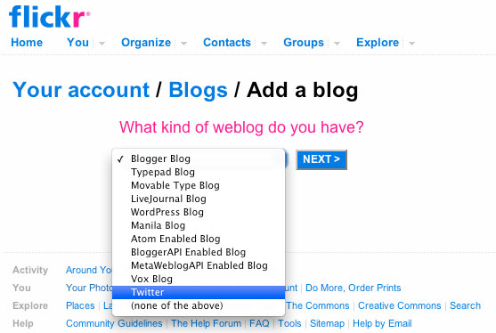 flickr2twitter1.jpg