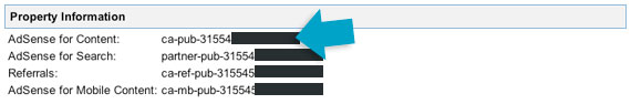 bloggyadsense4.jpg