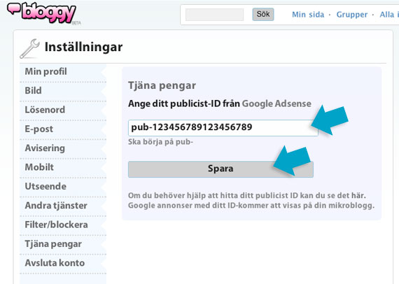 bloggyadsense5.jpg